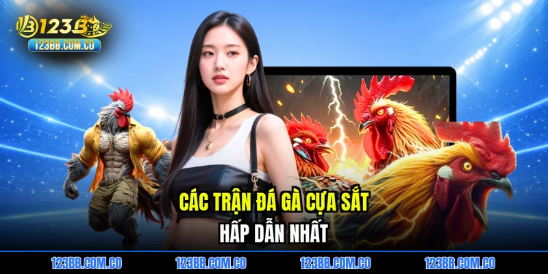 Các trận đá gà cựa sắt hấp dẫn nhất