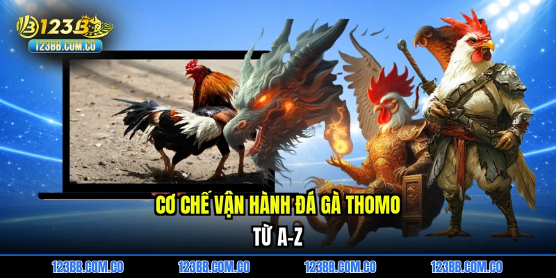 Cơ chế vận hành đá gà thomo từ A-Z