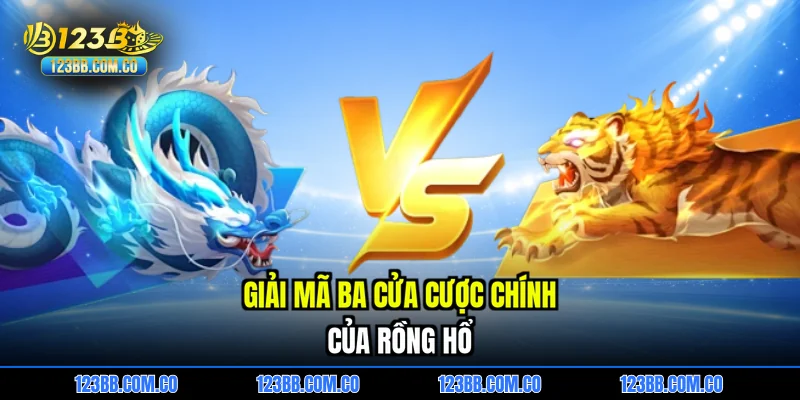 Giải mã ba cửa cược chính của Rồng hổ