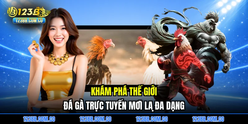 Khám phá thế giới đá gà trực tuyến mới lạ đa dạng