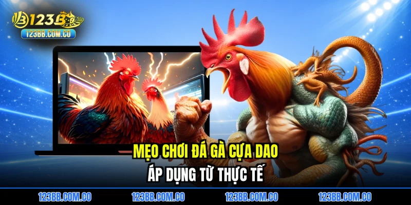 Mẹo chơi đá gà cựa dao áp dụng từ thực tế