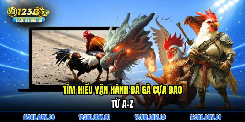 Tìm hiểu vận hành đá gà cựa dao từ A-Z