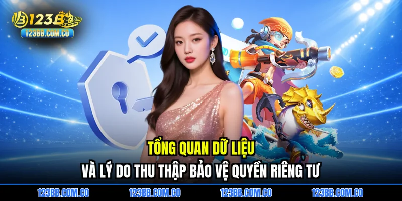 Tổng quan dữ liệu và lý do thu thập bảo vệ quyền riêng tư