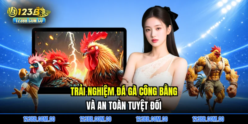 Trải nghiệm đá gà công bằng và an toàn tuyệt đối